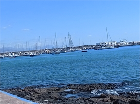 IMG_20230926_112442_469