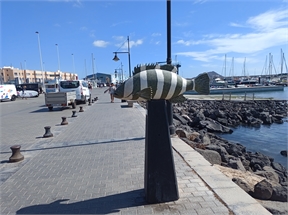 IMG_20230926_114421_368