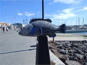 IMG_20230926_114456_718