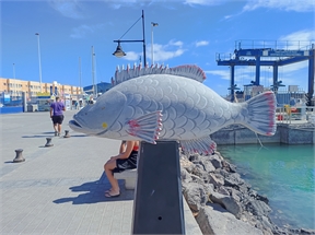 IMG_20230926_114555_942