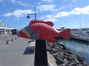 IMG_20230926_114806_415