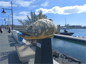 IMG_20230926_114855_290
