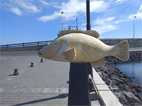 IMG_20230926_115045_968