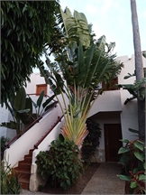 IMG_20230930_193953_105