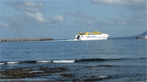 P1050126