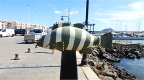 P1050138