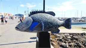 P1050139