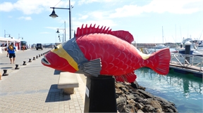 P1050141