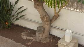 P1050152