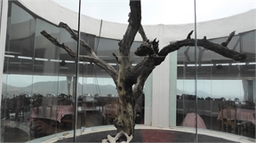 P1020665