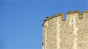 P1030541