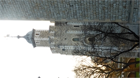 P1030558
