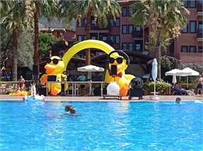 IMG_20240610_103050_752