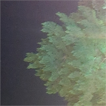 20240612_002006
