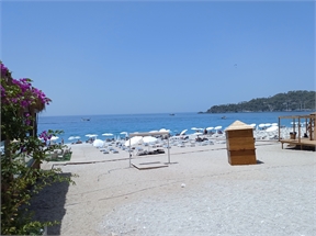 IMG_20240613_121252_496