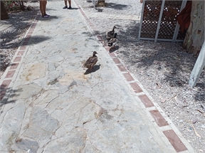 IMG_20240613_130037_388