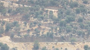 P1050326