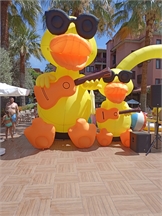 IMG_20240617_111254_419
