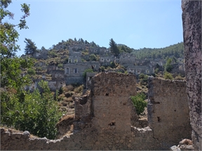 IMG_20240619_105525_428