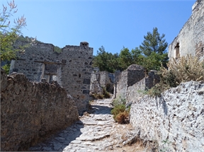 IMG_20240619_105827_542