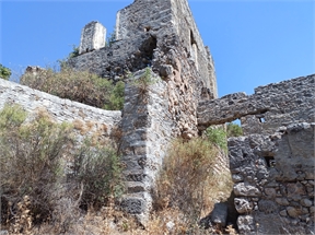 IMG_20240619_110044_596