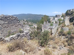 IMG_20240619_113856_102