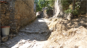 P1050354