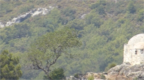 P1050357