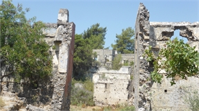 P1050363