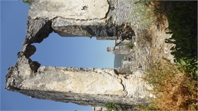 P1050364