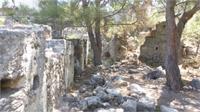 P1050365