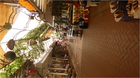 P1050373