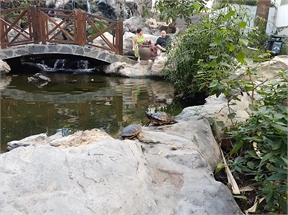 IMG_20240222_143223_240