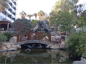 IMG_20240222_143311_966