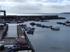 IMG_20240224_113057_794