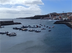 IMG_20240224_113100_474