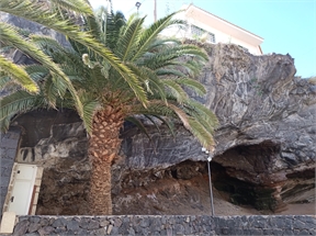 IMG_20240224_121042_363