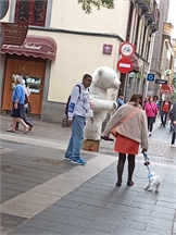 IMG_20240226_131858_674