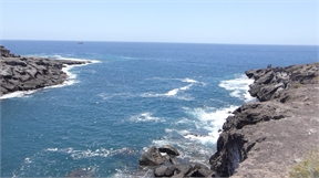P1020261