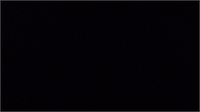 P1020289