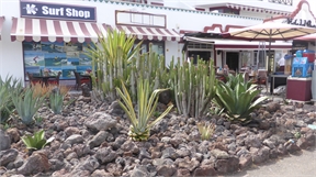 P1020355