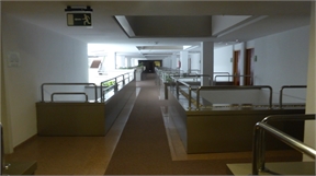 P1030767