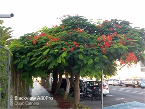 IMG_20210921_095208_4