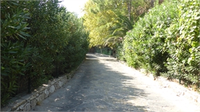 P1040103